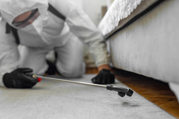 Professional Bed Bug Control technician working in Kodiak Station, AK