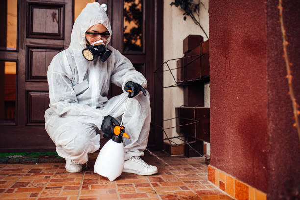 Reliable Bed Bug Control contractor in Kodiak Station, AK by Nex Pest Control