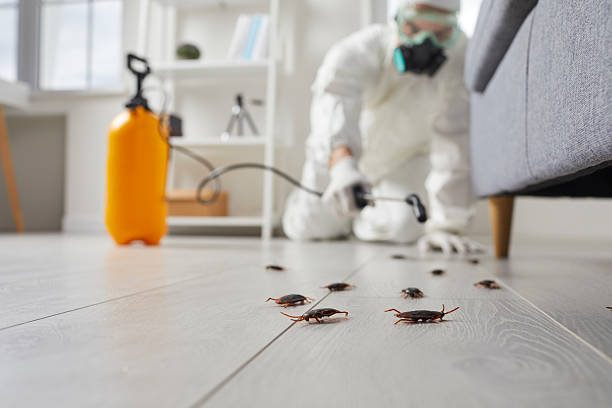 Trusted Bed Bug Control service in Kodiak Station, AK - Nex Pest Control